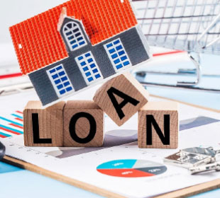 Article Loan